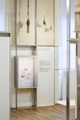 Studio Terhedebrügge Terhedebrügge